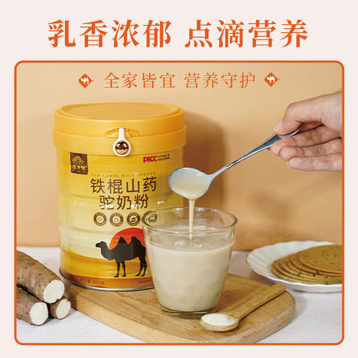 怀府街 | 铁棍山药驼奶粉 先清后养驼奶液体黄金600g/罐 商品图3