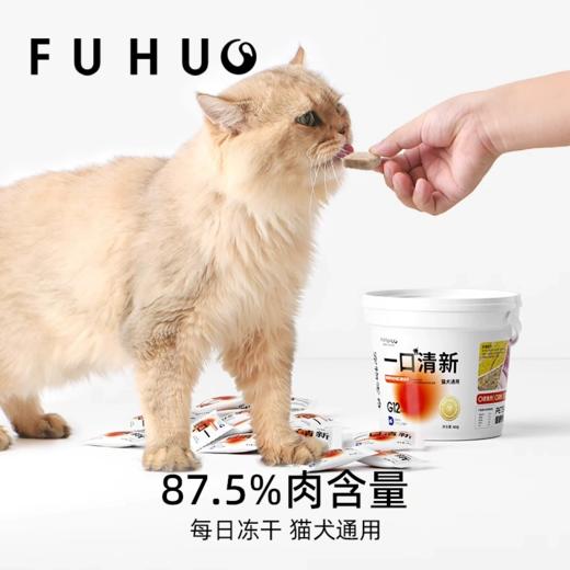 【俘获好礼】俘获G12一口清新冻干猫咪磨牙棒小零食去狗狗口臭口腔牙齿清洁齿 商品图1