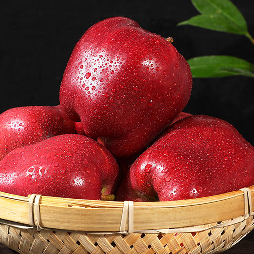 甘肃天水花牛苹果 清甜爽口 颜值爆表 可媲美蛇果 耀眼中国红 商品图0