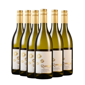 智利中央山谷霞多丽珍藏白葡萄酒13.5%vol六支装