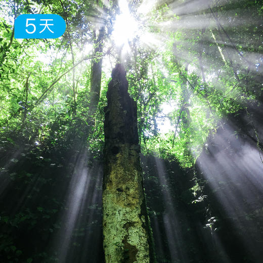 荒野贵州｜50公里轻徒步，一次性探索喀斯特四大地貌 5日 商品图1