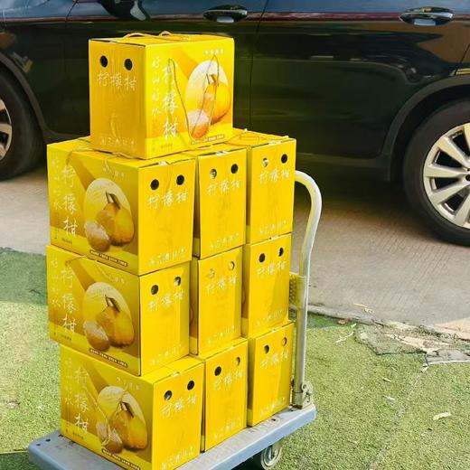 柠檬柑（一箱10斤装） 商品图3