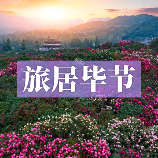 边玩边养老丨旅居毕节，赴百里杜鹃春季盛宴，醉享乌蒙秘境康养旅居好时光！ 商品图0