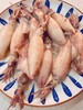 高品质全籽籽乌（熟）10只/袋*2袋，每袋270g，满满的都是籽，每一口都香香哒，满籽籽乌，不是笔管鱼哦。颗粒状的籽，吃起来更有口感，辽宁省内包邮。 商品缩略图8