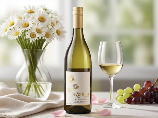 智利中央山谷霞多丽珍藏白葡萄酒13.5%vol六支装 商品图3