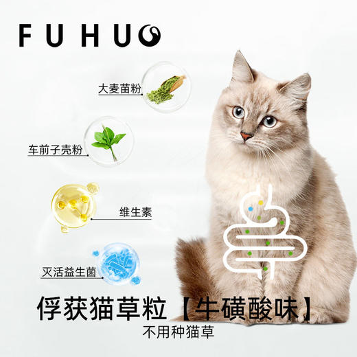 【爆款热卖】俘获益生菌猫草粒冻干猫咪零食助排毛车前子 商品图1