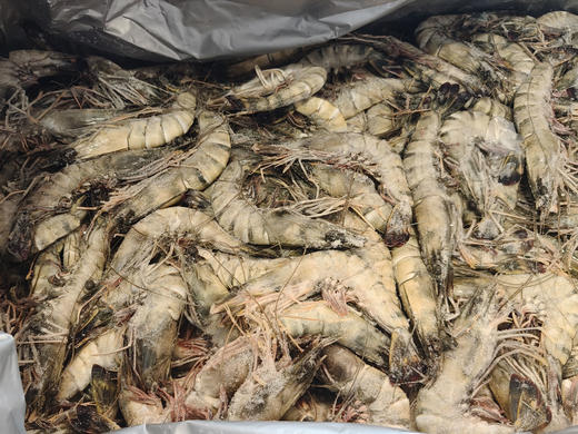 【年货节】黑虎虾  规格：16-20 39元/斤 商品图1