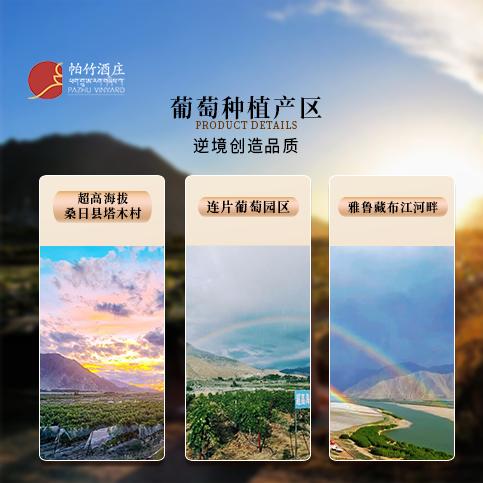 自营-（帕竹）-西藏帕竹酒庄帕竹黑标干型红葡萄酒单支礼盒 聚会 送礼 微醺 商品图4