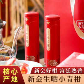 『十添一』果真香普洱茶陈皮之乡新会小青柑云南熟普洱250g茶叶礼盒送人长辈