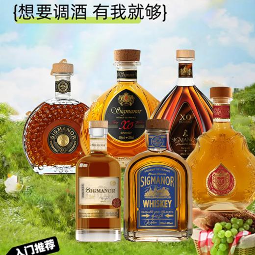 希格玛200毫升洋酒怎么喝都好喝得调酒组合 商品图4