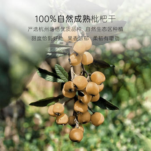 几分之几 枇杷干 60g*2 商品图1