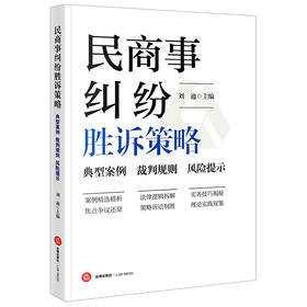 民商事纠纷胜诉策略：典型案例 裁判规则 风险提示  刘迪主编  法律出版社