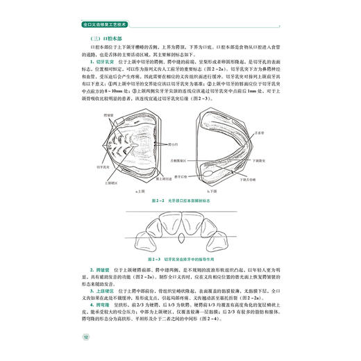 全口义齿修复工艺技术 第2二版 全国高职高专口腔医学/口腔医学技术专业规划教材(第二轮) 刘洪 吴非 主编 中国医药科技出版社 商品图4