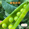 云南生态甜脆豌豆 3斤 商品缩略图2