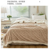 洁丽雅塔芙绒毛毯加厚2*2.3M2400G 卡其   JF-240001 商品缩略图2