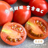 露天云南有机小番茄（露天有机种植，部分小番茄外观可能有疤痕，介意勿拍） 商品缩略图2