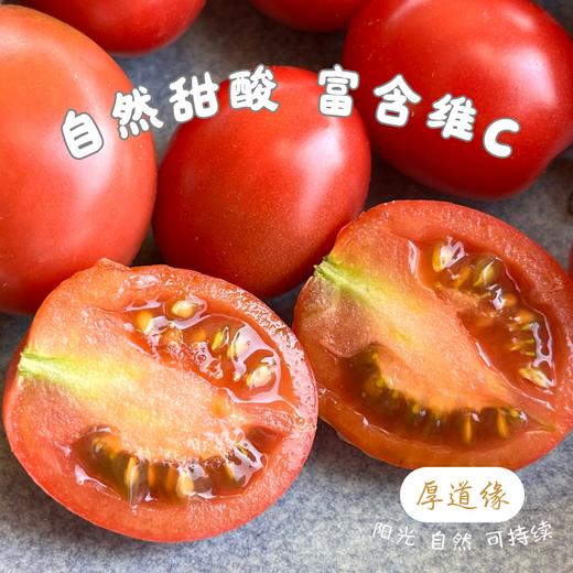 露天云南有机小番茄（露天有机种植，部分小番茄外观可能有疤痕，介意勿拍） 商品图2