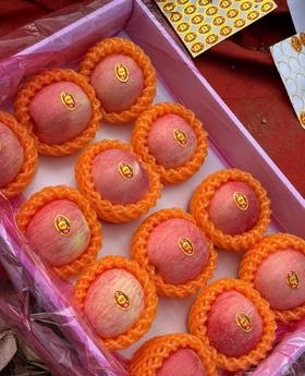 自营-吉县高山苹果 昼夜温差酿好味 酸甜适口老少皆宜