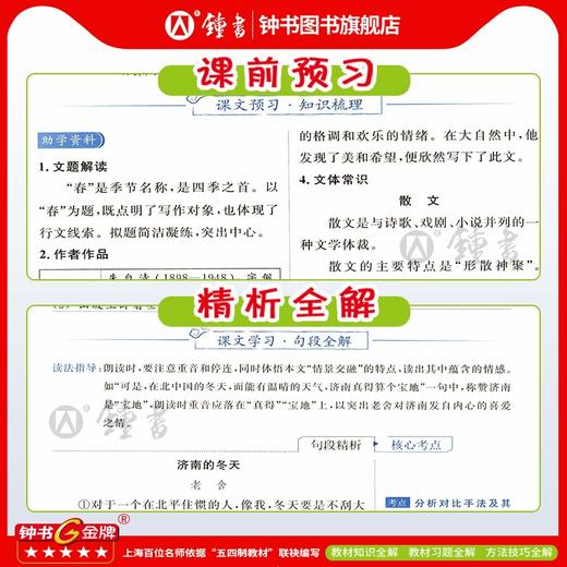 上海版26春新教材全解语文数学英语同步讲解沪教版教辅书钟书金牌 商品图2
