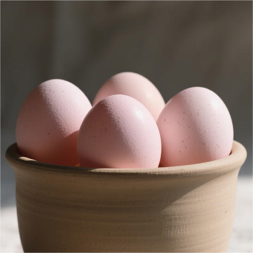 丨有机丨巴山黑凰后鸡蛋 黑鸡鸡蛋（粉壳） 商品图4