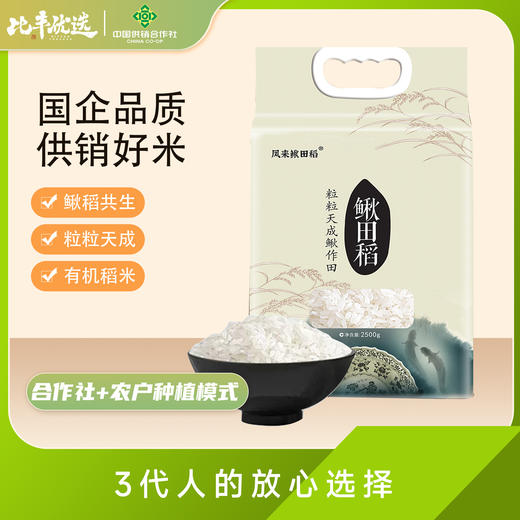 鳅田稻米5斤真空包装 商品图0