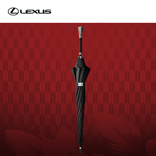 翎羽-世极专属长伞 商品图1