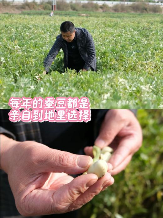 正月十六开始发货【非遗土主豆瓣酱】不添加香精色素、增稠剂防腐剂，真正0️⃣添加，吃起来健康放心！ 商品图4