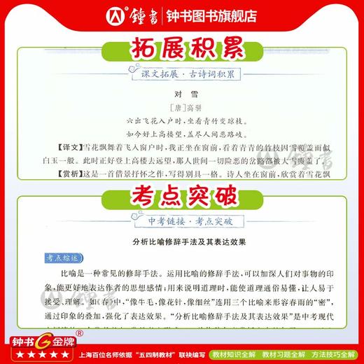 上海版26春新教材全解语文数学英语同步讲解沪教版教辅书钟书金牌 商品图3