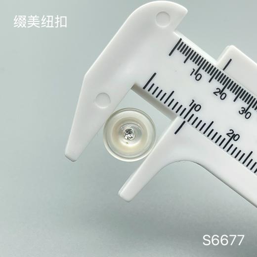 S6677(整包购买) 商品图3