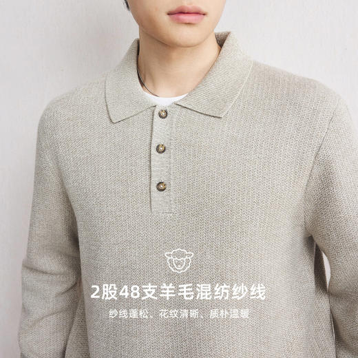 墨麦客可机洗翻领羊毛衫男2025冬季新款基础微阔复古针织毛衣男士 商品图3