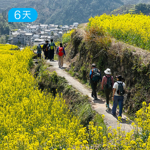 皖南轻户外｜春季34公里徒步 徽杭古道 徽派古村落赏花 6日 商品图10