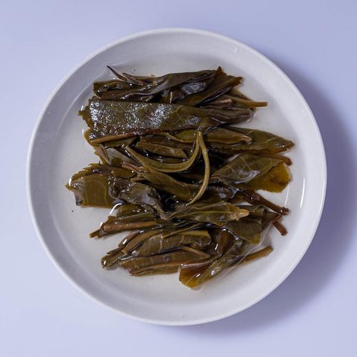 【清仓特价】2022《易武凤凰窝》古树春茶 生茶散茶 40克/罐 商品图2
