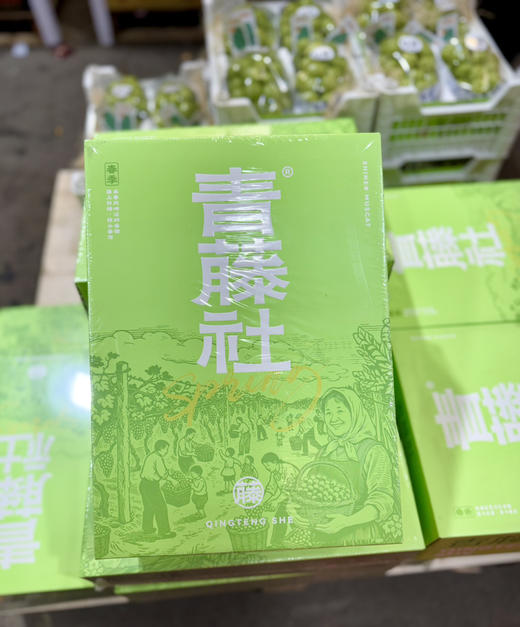 青藤社®晴王＃日本苗云南种，颗粒大，圆润饱满，口感脆爽，甜而香！ 商品图2