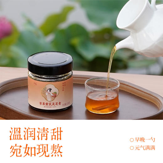 【新客专享】苹果黄芪灵芝膏220g 商品图4