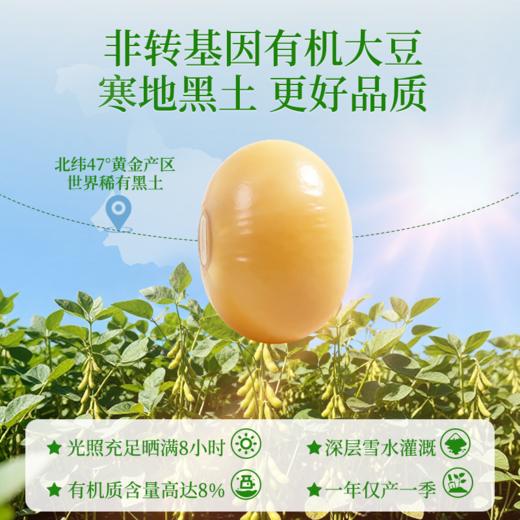 每日乔安 有机黄豆纯豆浆粉 商品图0