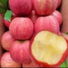 自营-陇原特产甘肃苹果 昼夜温差积累糖 脆嫩无渣好口感 商品缩略图2