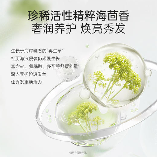 【护发乳】改善头发毛躁、干枯打结问题 奢养秀发 柔滑奢润护发精华乳（300ml） 商品图4