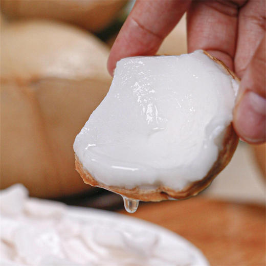 【海南椰皇】（送吸管）椰香浓郁，果肉厚实 商品图1