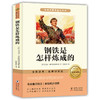 钢铁是怎祥炼成的 商品缩略图1