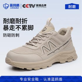 蓝鸥盾2026年新款安全鞋防砸防刺穿4.0凯夫拉四季款时尚百搭