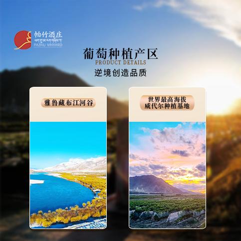 自营（帕竹）-西藏帕竹酒庄帕竹冰纯冰酒酒单支礼盒 聚会 送礼 微醺 商品图4