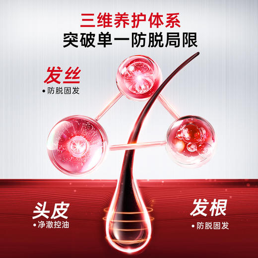 卡蓓诺洗发水 商品图9