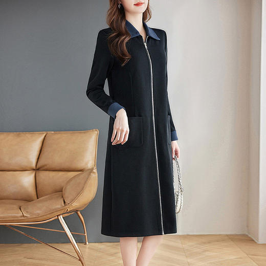 休闲卫衣连衣裙女2025新款春秋季大码女装胖mm中长款翻领长袖裙子 商品图0