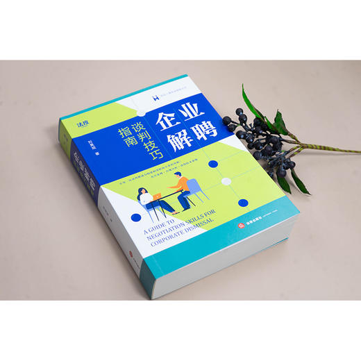 企业解聘谈判技巧指南  刘昊斌著  法律出版社 商品图1