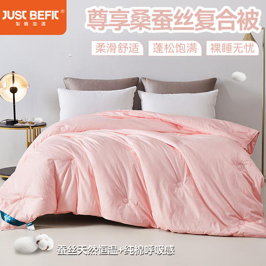 【品牌直发】加倍生活 尊享桑蚕丝复合被  全棉40s提花面料四季被/冬被 商品图0