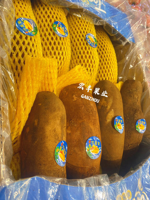 雪莲果，清甜的水果，甜脆口感，清热  活动价4.98一斤 商品图8