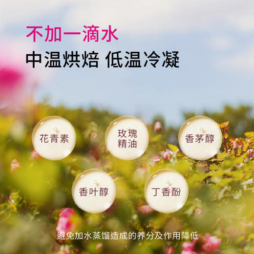 花田玑密玫瑰花苞液【山东必买好品】 商品图2