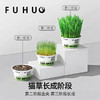 【爆款热卖】俘获F2轻松猫草盆栽种植助化毛懒人猫草猫薄荷猫咪零食用品 商品缩略图2