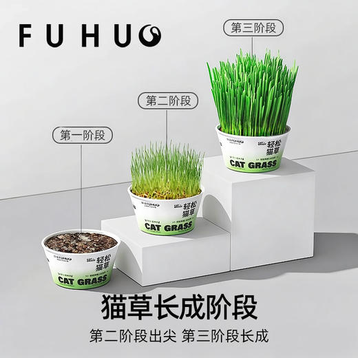 【爆款热卖】俘获F2轻松猫草盆栽种植助化毛懒人猫草猫薄荷猫咪零食用品 商品图2
