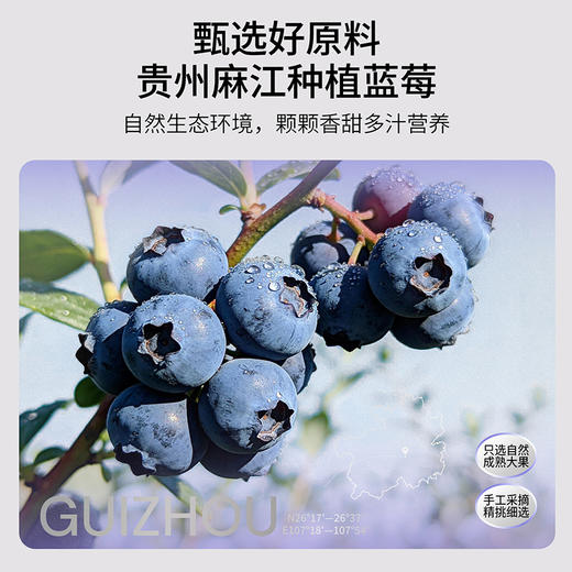 默小吉210ml蓝莓原浆，看手机电脑读书用眼孩子成人喝 商品图4